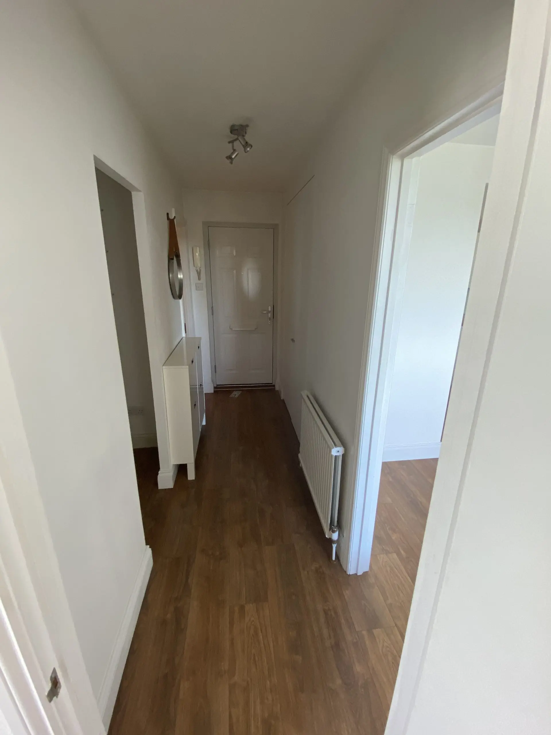Putney Tenancy Painting